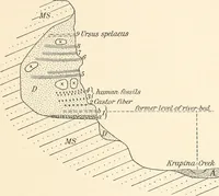 Picture 93 of 278 from Men of the old stone age : their environment, life and art (1915), leaf 214