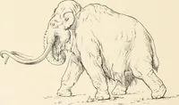 An illustration from Men of the old stone age : their environment, life and art (1915)