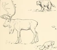 An illustration from Men of the old stone age : their environment, life and art (1915)