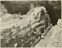 An illustration from Men of the old stone age : their environment, life and art (1915)