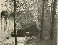 An illustration from Men of the old stone age : their environment, life and art (1915)