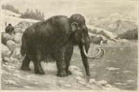 An illustration from Men of the old stone age : their environment, life and art (1915)