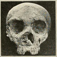 An illustration from Men of the old stone age : their environment, life and art (1915)