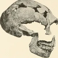An illustration from Men of the old stone age : their environment, life and art (1915)