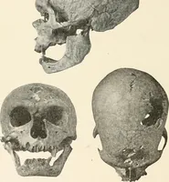 An illustration from Men of the old stone age : their environment, life and art (1915)