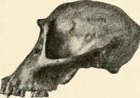 An illustration from Men of the old stone age : their environment, life and art (1915)