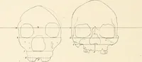 An illustration from Men of the old stone age : their environment, life and art (1915)
