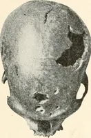 An illustration from Men of the old stone age : their environment, life and art (1915)