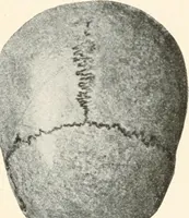 An illustration from Men of the old stone age : their environment, life and art (1915)