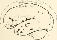 An illustration from Men of the old stone age : their environment, life and art (1915)