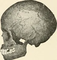 An illustration from Men of the old stone age : their environment, life and art (1915)