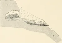 An illustration from Men of the old stone age : their environment, life and art (1915)