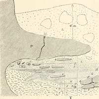 An illustration from Men of the old stone age : their environment, life and art (1915)