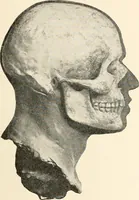 An illustration from Men of the old stone age : their environment, life and art (1915)