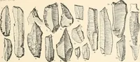 An illustration from Men of the old stone age : their environment, life and art (1915)