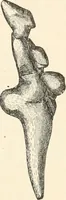 An illustration from Men of the old stone age : their environment, life and art (1915)
