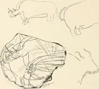 Picture 169 of 278 from Men of the old stone age : their environment, life and art (1915), leaf 355