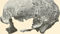 An illustration from Men of the old stone age : their environment, life and art (1915)