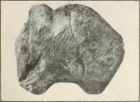 An illustration from Men of the old stone age : their environment, life and art (1915)