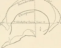 Picture 2 of 278 from Men of the old stone age : their environment, life and art (1915), leaf 39