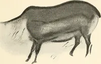 An illustration from Men of the old stone age : their environment, life and art (1915)