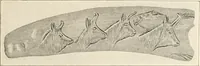 An illustration from Men of the old stone age : their environment, life and art (1915)