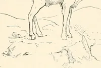 An illustration from Men of the old stone age : their environment, life and art (1915)