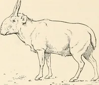 An illustration from Men of the old stone age : their environment, life and art (1915)