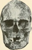 An illustration from Men of the old stone age : their environment, life and art (1915)