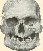 Picture 203 of 278 from Men of the old stone age : their environment, life and art (1915), leaf 414