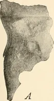 An illustration from Men of the old stone age : their environment, life and art (1915)