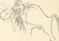An illustration from Men of the old stone age : their environment, life and art (1915)
