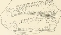 An illustration from Men of the old stone age : their environment, life and art (1915)