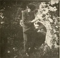 An illustration from Men of the old stone age : their environment, life and art (1915)