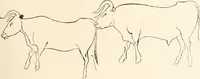 An illustration from Men of the old stone age : their environment, life and art (1915)