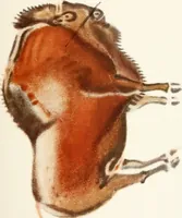 An illustration from Men of the old stone age : their environment, life and art (1915)