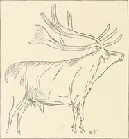 An illustration from Men of the old stone age : their environment, life and art (1915)
