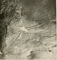 An illustration from Men of the old stone age : their environment, life and art (1915)