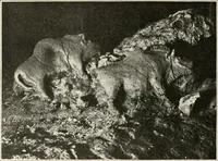 An illustration from Men of the old stone age : their environment, life and art (1915)