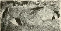 An illustration from Men of the old stone age : their environment, life and art (1915)