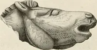 An illustration from Men of the old stone age : their environment, life and art (1915)