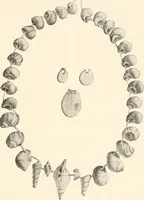 An illustration from Men of the old stone age : their environment, life and art (1915)