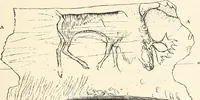 An illustration from Men of the old stone age : their environment, life and art (1915)