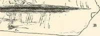 An illustration from Men of the old stone age : their environment, life and art (1915)