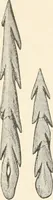 An illustration from Men of the old stone age : their environment, life and art (1915)