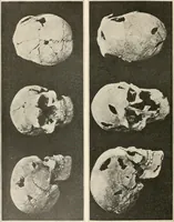 An illustration from Men of the old stone age : their environment, life and art (1915)