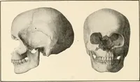 An illustration from Men of the old stone age : their environment, life and art (1915)