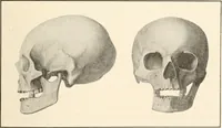 An illustration from Men of the old stone age : their environment, life and art (1915)