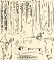 An illustration from Men of the old stone age : their environment, life and art (1915)