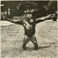 An illustration from Men of the old stone age : their environment, life and art (1915)